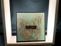 Papillon de nuit