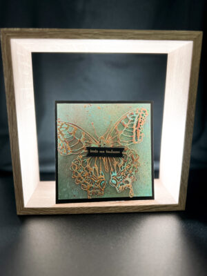 Papillon de nuit