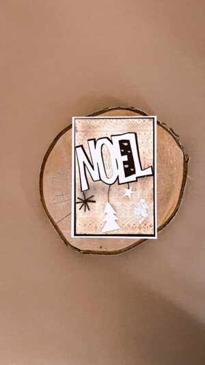 Noël Epinglé