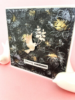 Colombe – Image 3